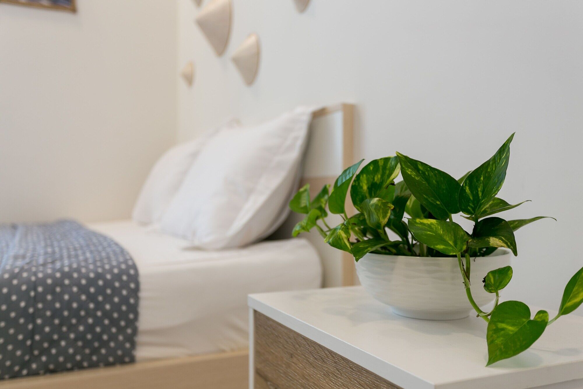 Macy Studio Apartment TP. Hồ Chí Minh Ngoại thất bức ảnh